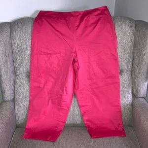 Talbots Pink Ankle Pants